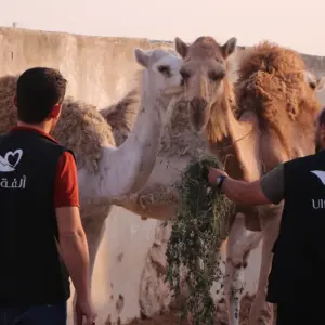 The Sacrifices for the Needy Campaign